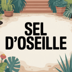 le sel d oseille est il dangereux pour les plantes illustration jardin