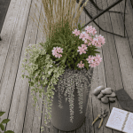 que planter dans un pot haut et étroit graminée laurier-rose lierre
